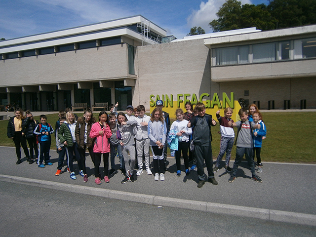 Amrywiaeth o dylluanod