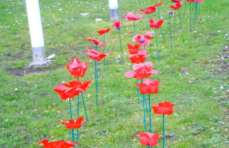 Creating poppies for Remembrance