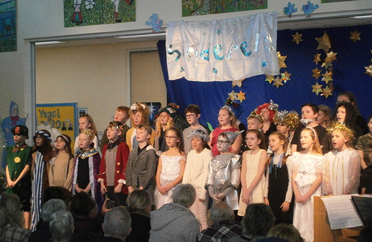 Amrywiaeth o dylluanod