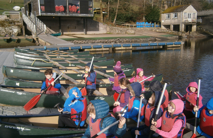 Amrywiaeth o dylluanod