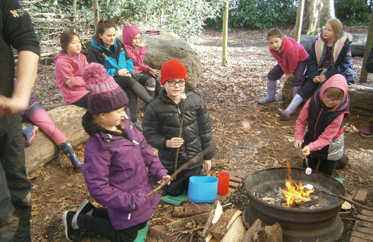 Amrywiaeth o dylluanod