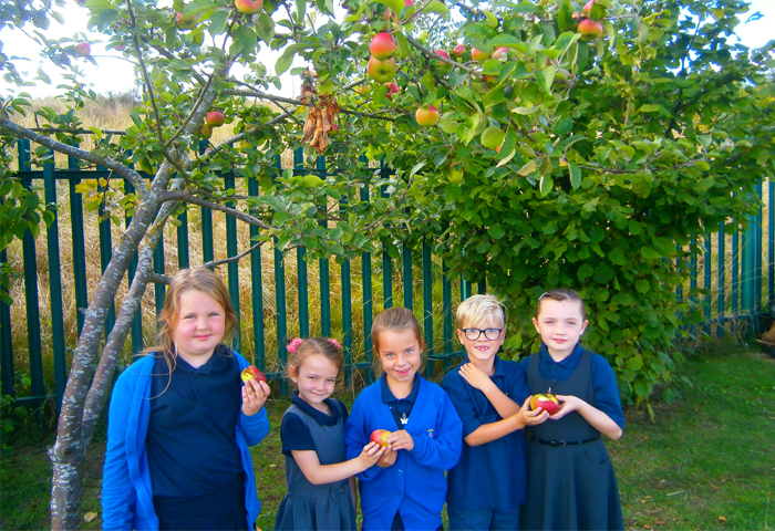 Rygbi Tag Ysgol Hooson